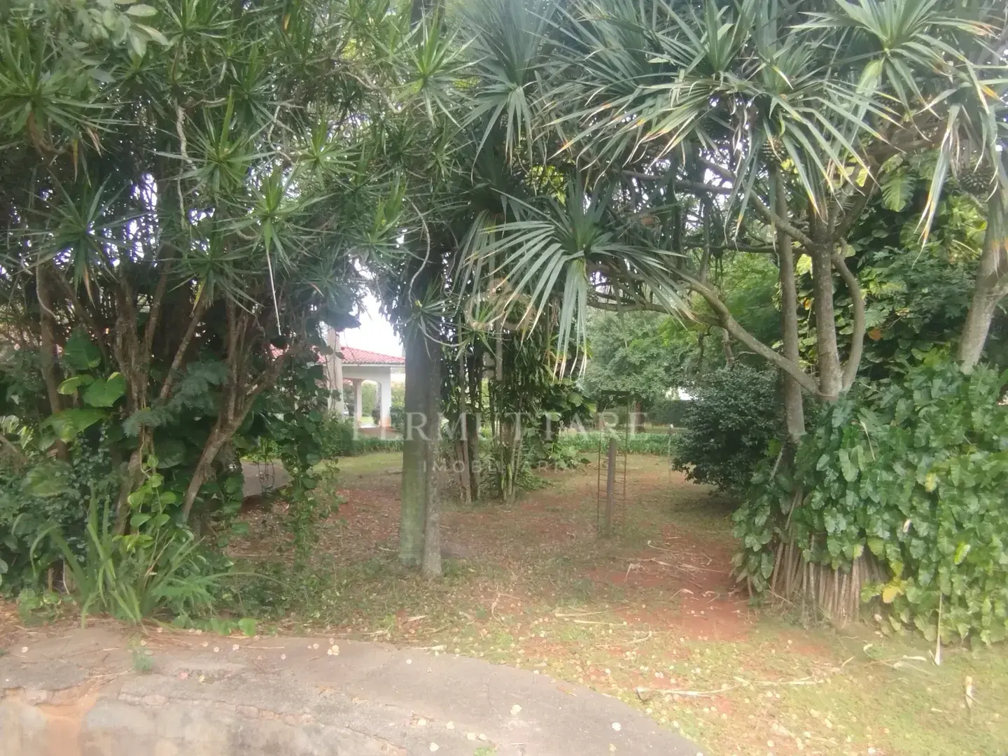 ÁREA À VENDA  8.000 m²— CHÁCARA PRIMAVERA — CAMPINAS/SP — Miniatura 10