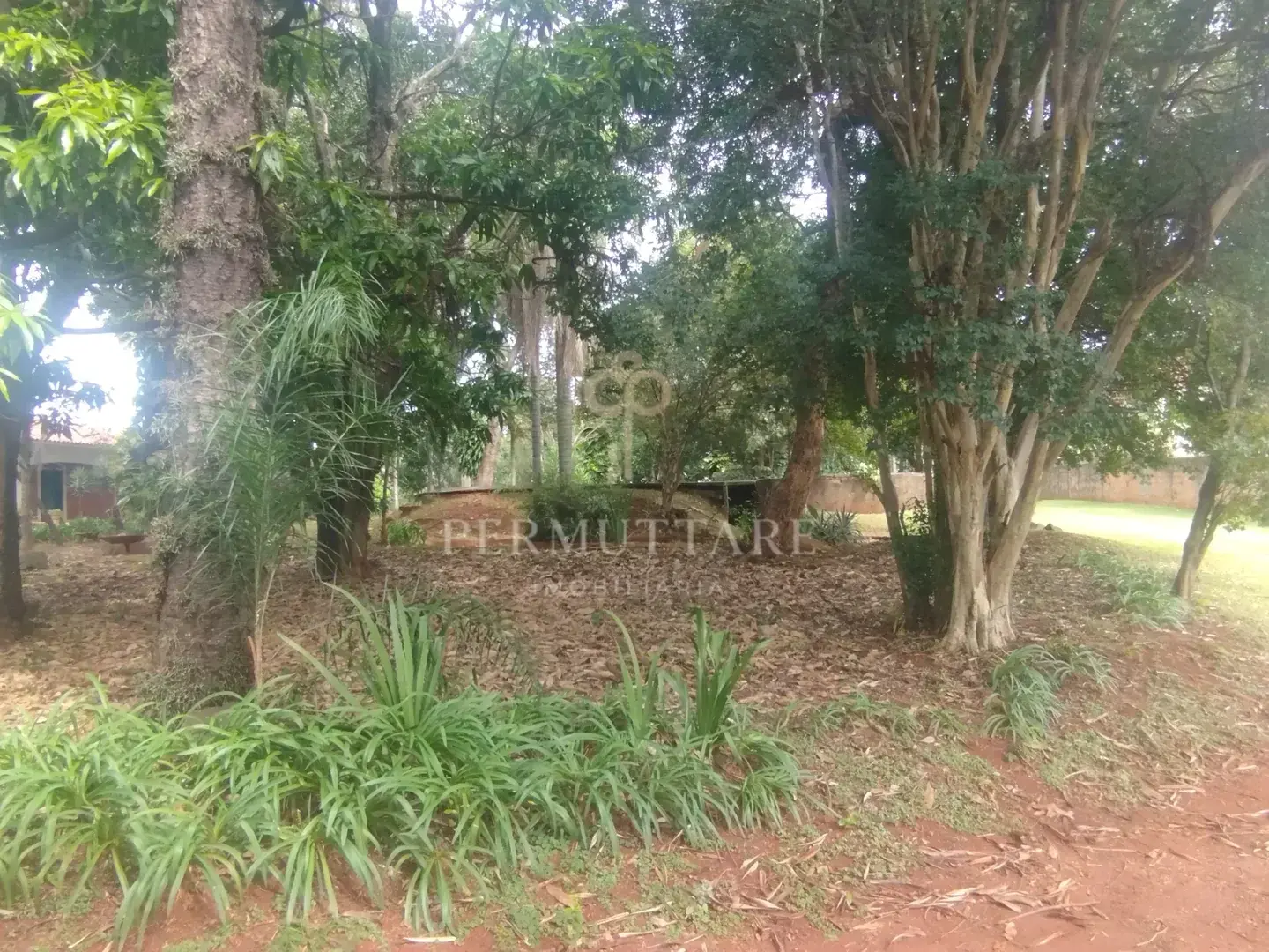 ÁREA À VENDA  8.000 m²— CHÁCARA PRIMAVERA — CAMPINAS/SP — Miniatura 18