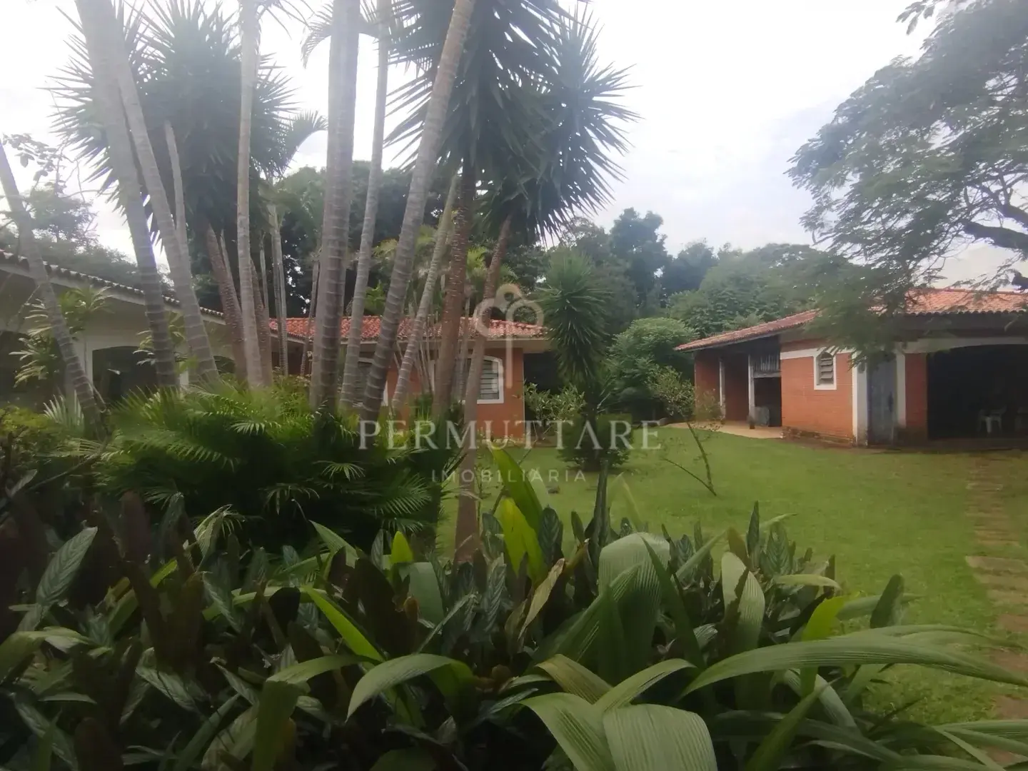 ÁREA À VENDA  8.000 m²— CHÁCARA PRIMAVERA — CAMPINAS/SP