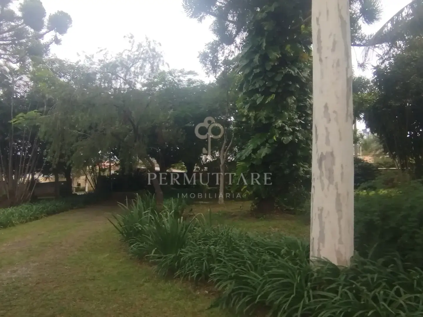 ÁREA À VENDA  8.000 m²— CHÁCARA PRIMAVERA — CAMPINAS/SP — Miniatura 26