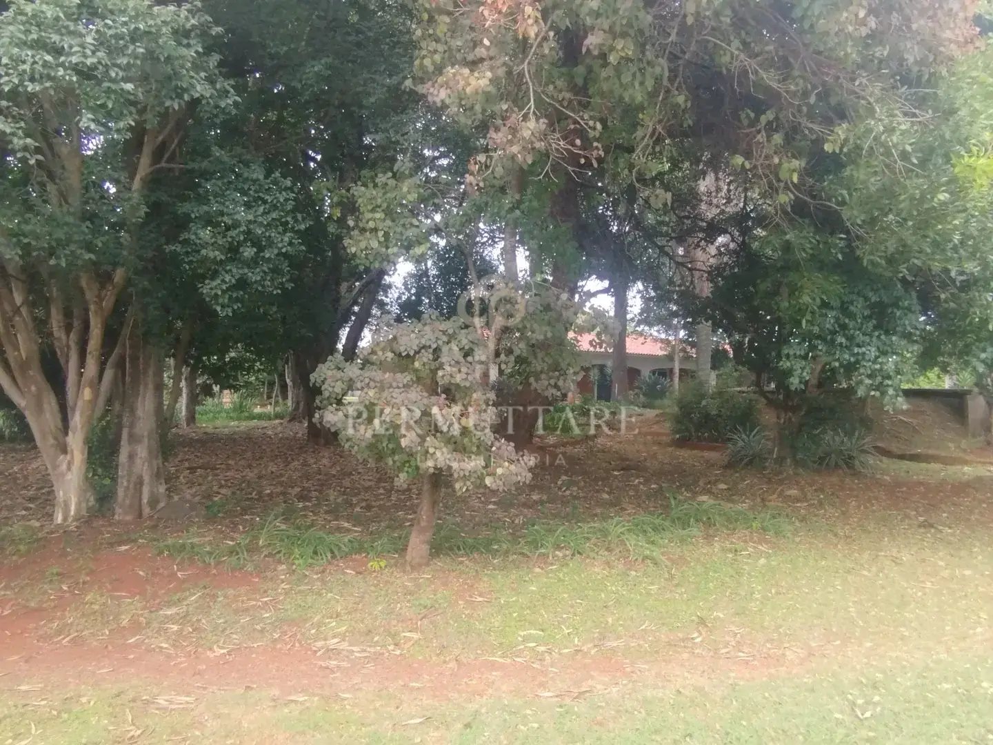 ÁREA À VENDA  8.000 m²— CHÁCARA PRIMAVERA — CAMPINAS/SP — Miniatura 15