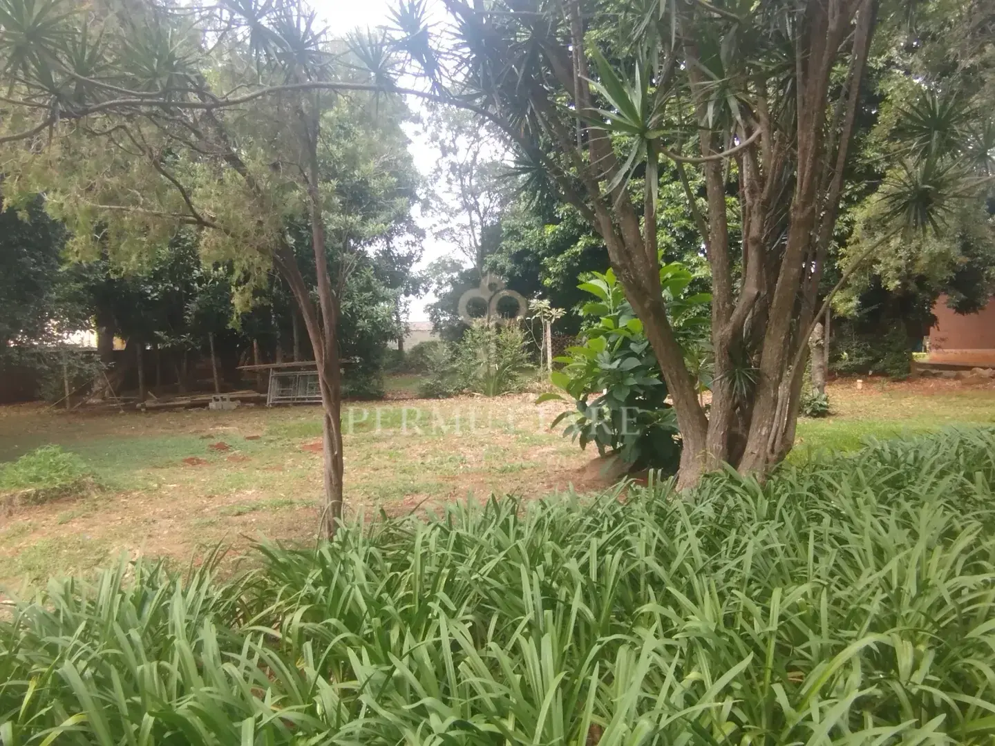 ÁREA À VENDA  8.000 m²— CHÁCARA PRIMAVERA — CAMPINAS/SP — Miniatura 21