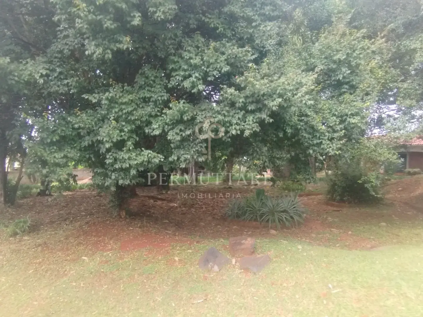 ÁREA À VENDA  8.000 m²— CHÁCARA PRIMAVERA — CAMPINAS/SP — Miniatura 59