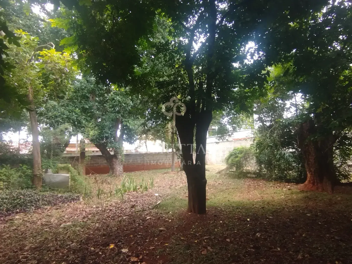 ÁREA À VENDA  8.000 m²— CHÁCARA PRIMAVERA — CAMPINAS/SP — Miniatura 57
