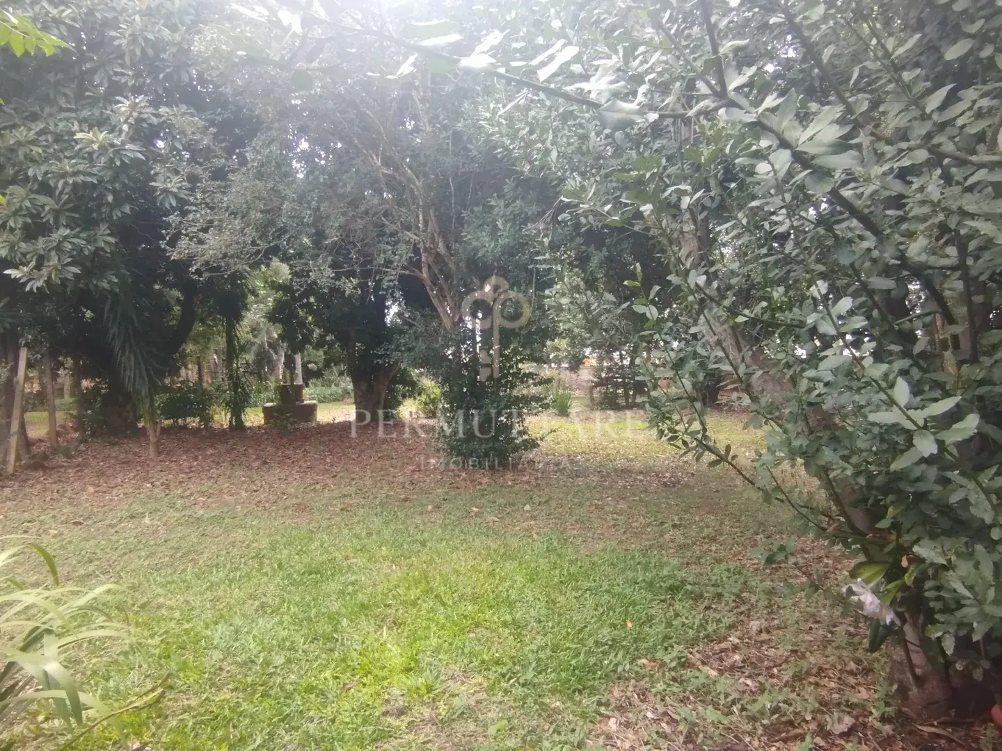 ÁREA À VENDA  8.000 m²— CHÁCARA PRIMAVERA — CAMPINAS/SP — Miniatura 56