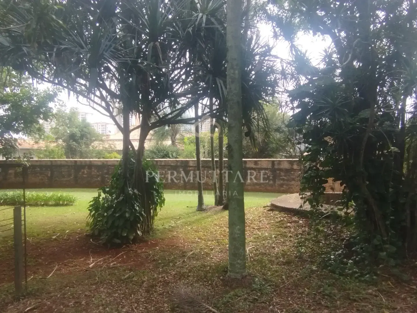 ÁREA À VENDA  8.000 m²— CHÁCARA PRIMAVERA — CAMPINAS/SP — Miniatura 4