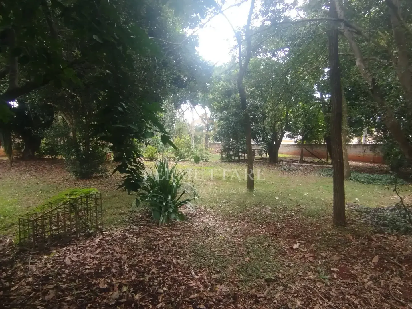ÁREA À VENDA  8.000 m²— CHÁCARA PRIMAVERA — CAMPINAS/SP — Miniatura 58
