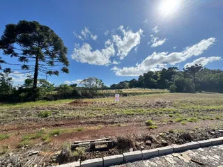 Comprar - Terreno