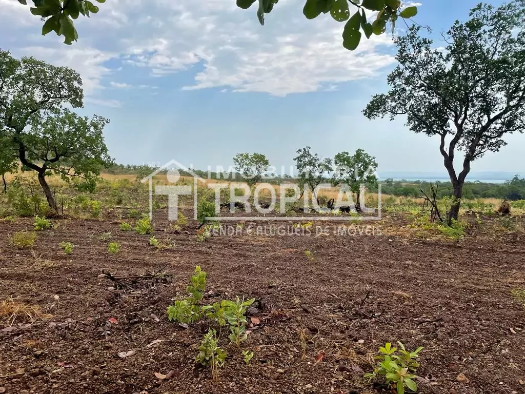 Vende-se fazenda de 31,5 Alqueires à 30km de Porto Nacional-To. — Miniatura 7