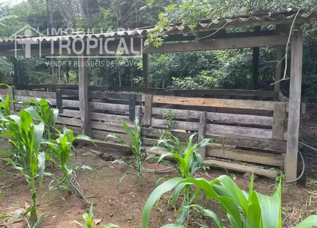 Vende-se chácara 07 alqueires/33 hectares em Porto Nacional sentido Brejinho de Nazaré-To. — Miniatura 5