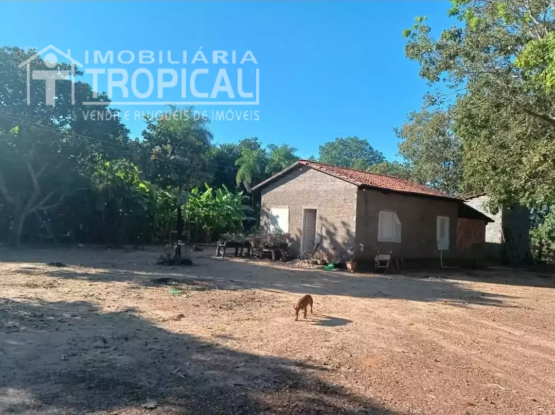 Vende-se chácara 07 alqueires/33 hectares em Porto Nacional sentido Brejinho de Nazaré-To. — Miniatura 8