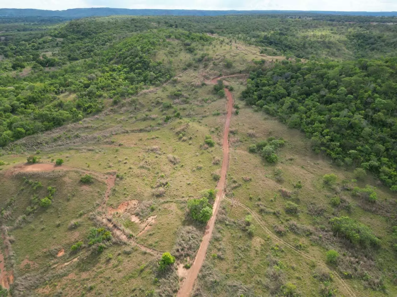 Vende-se chácara 07 alqueires/33 hectares em Porto Nacional sentido Brejinho de Nazaré-To. — Miniatura 18