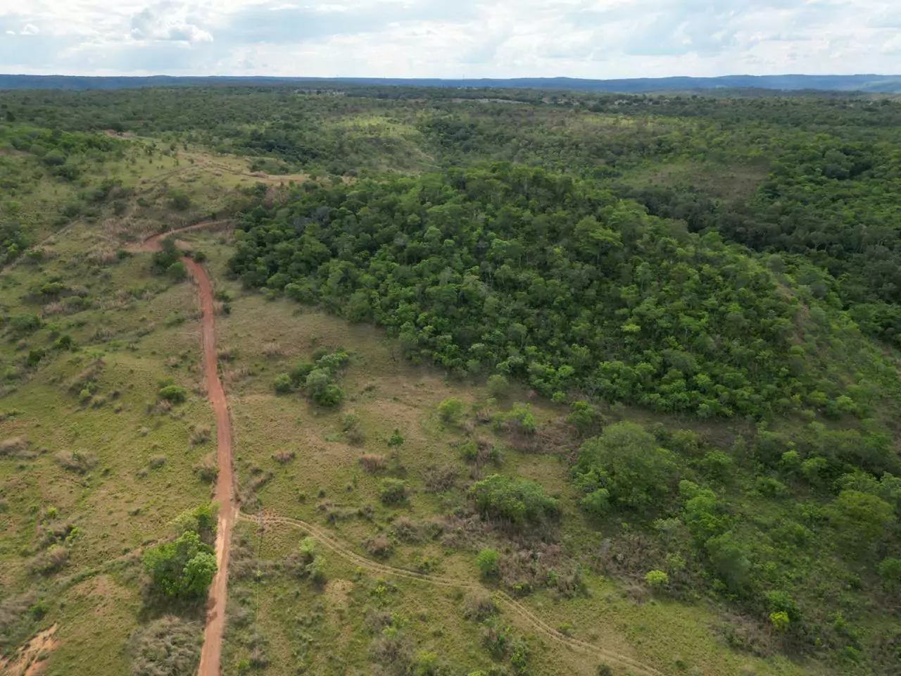 Vende-se chácara 07 alqueires/33 hectares em Porto Nacional sentido Brejinho de Nazaré-To. — Miniatura 20