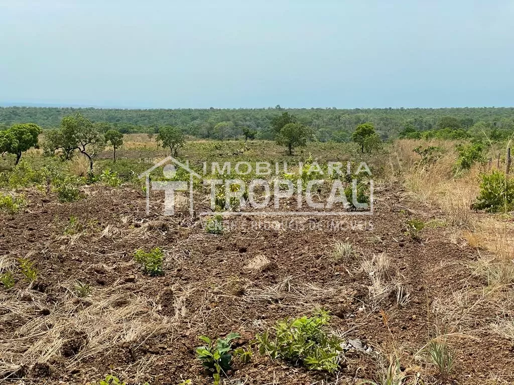 Vende-se fazenda de 31,5 Alqueires à 30km de Porto Nacional-To. — Miniatura 9