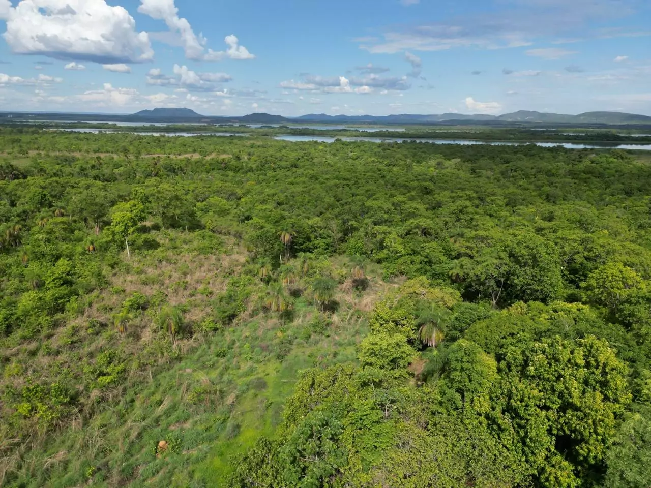 Vende-se chácara 07 alqueires/33 hectares em Porto Nacional sentido Brejinho de Nazaré-To. — Miniatura 23