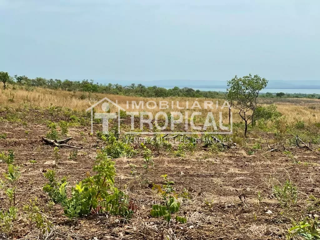 Vende-se fazenda de 31,5 Alqueires à 30km de Porto Nacional-To. — Miniatura 10