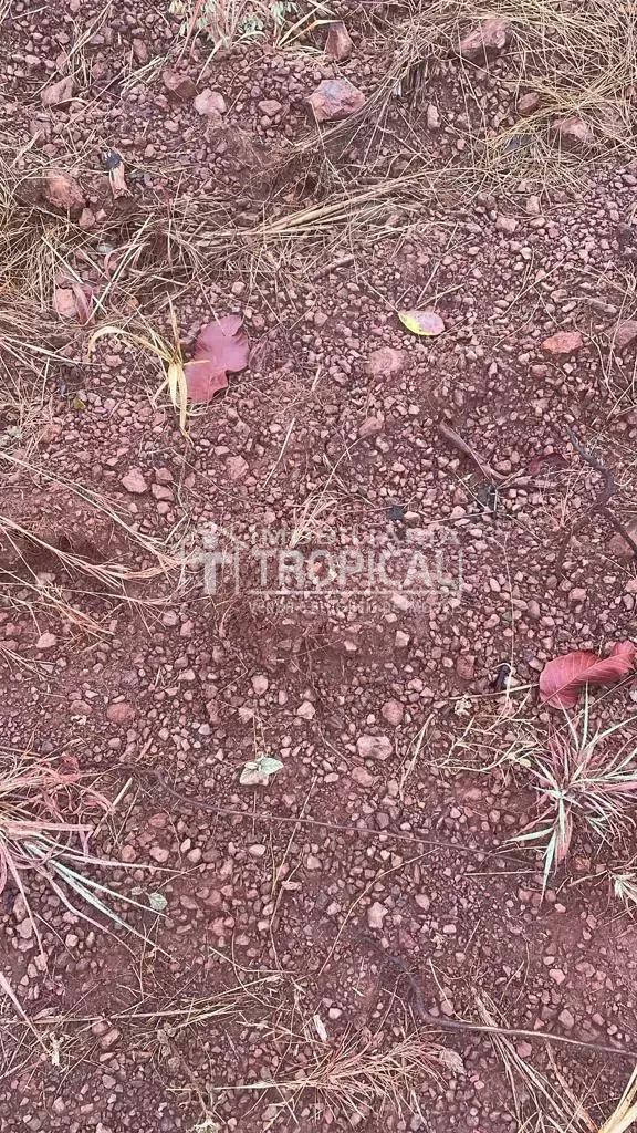 Vende-se fazenda de 31,5 Alqueires à 30km de Porto Nacional-To. — Miniatura 3