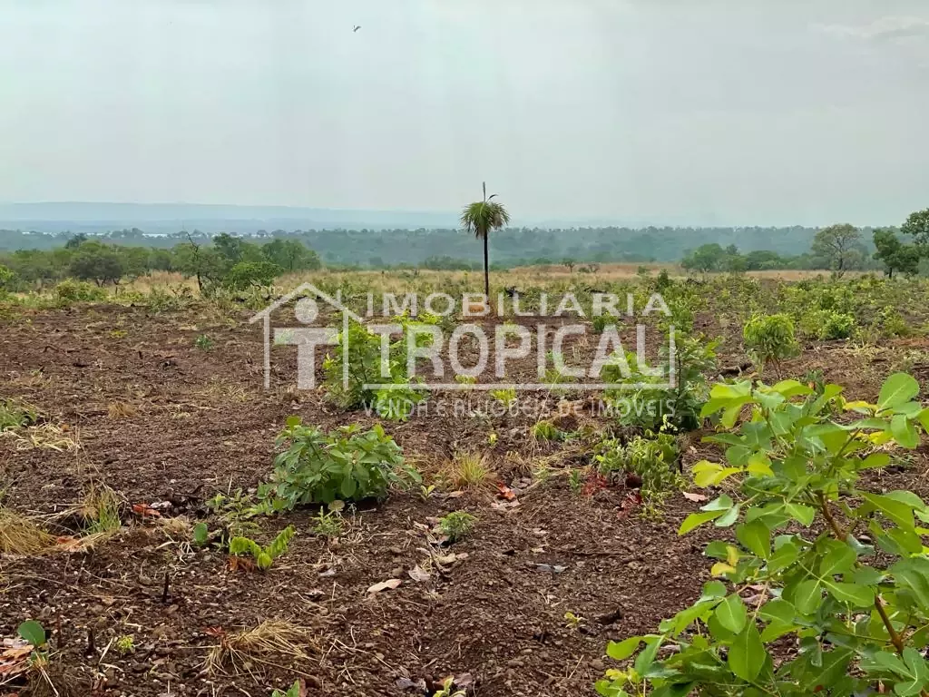 Vende-se fazenda de 31,5 Alqueires à 30km de Porto Nacional-To. — Miniatura 5
