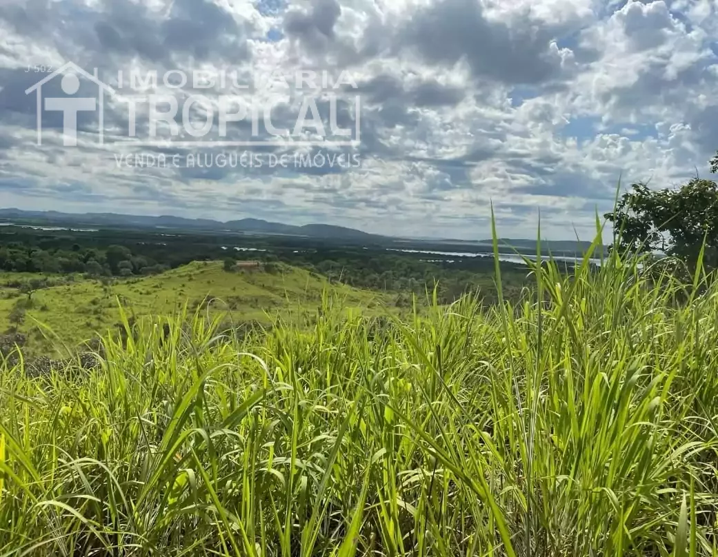 Vende-se chácara 07 alqueires/33 hectares em Porto Nacional sentido Brejinho de Nazaré-To. — Miniatura 4