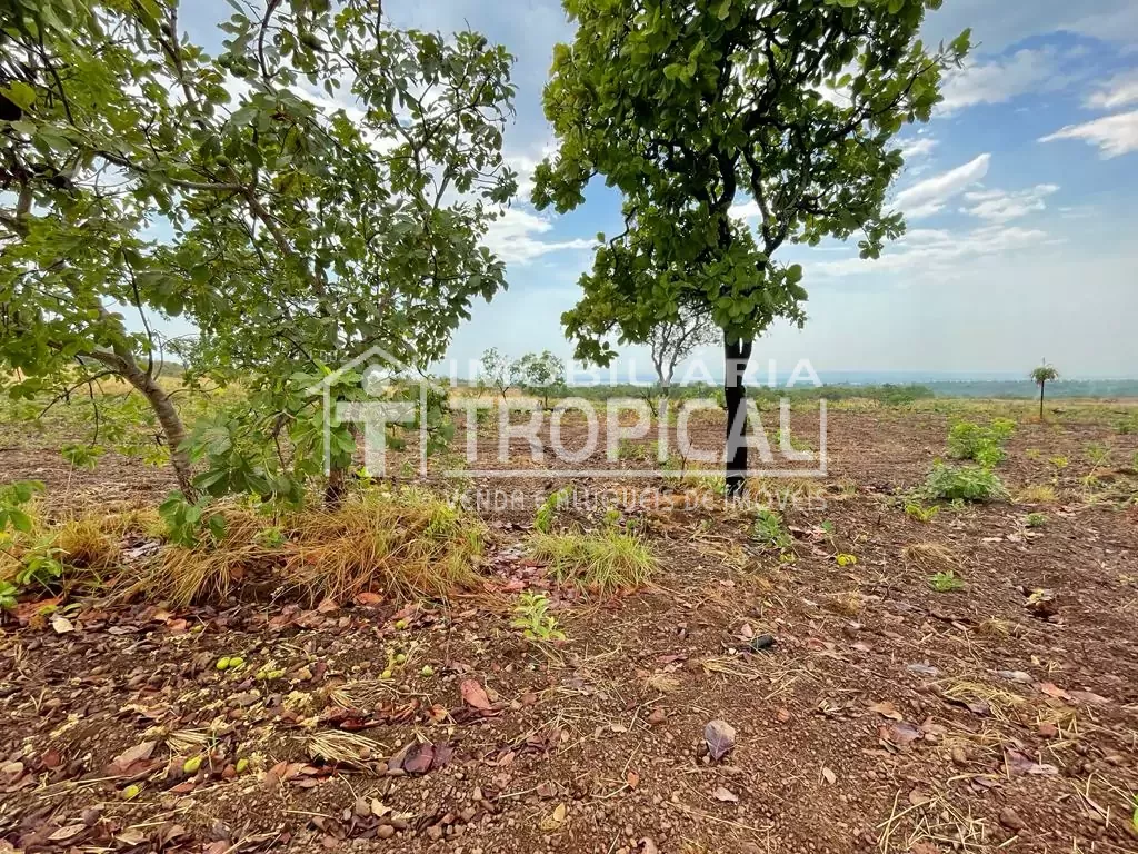 Vende-se fazenda de 31,5 Alqueires à 30km de Porto Nacional-To. — Miniatura 6