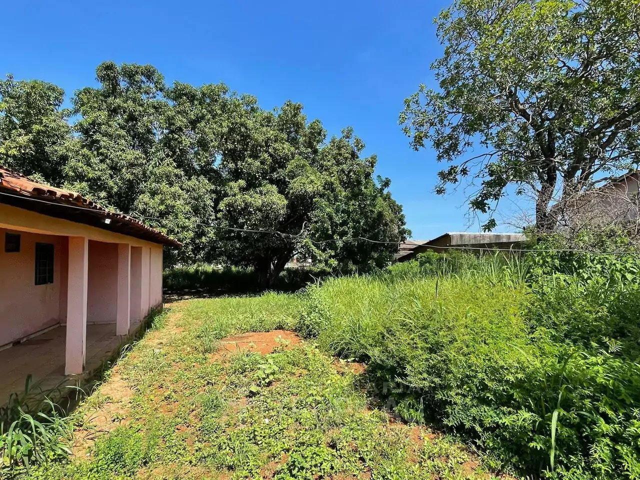 VENDE-SE 6 LOTES JUNTOS NO SETOR NOVA CAPITAL EM PORTO NACIONAL-TO — Miniatura 13