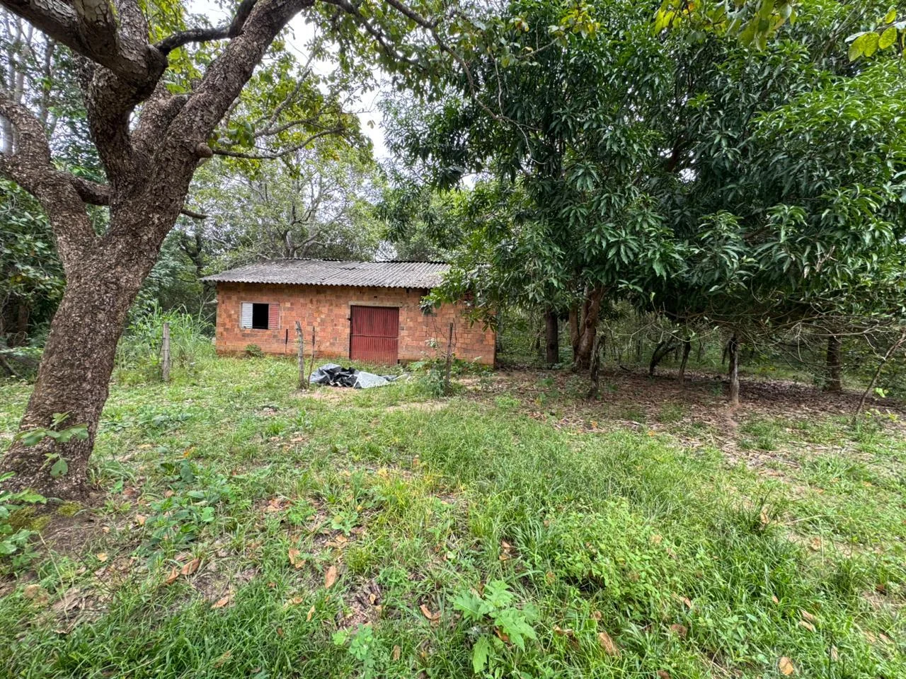 Vendo fazenda de 20 Alqueires de Dupla Apitidao proximo a Porto Nacional-TO. — Miniatura 2
