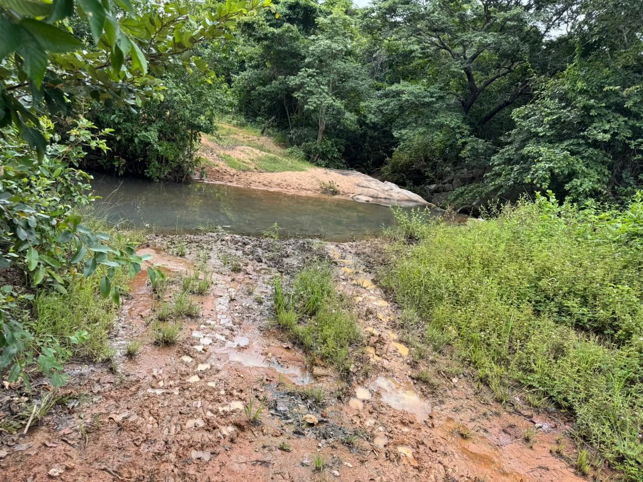 Vendo fazenda de 20 Alqueires de Dupla Apitidao proximo a Porto Nacional-TO. — Miniatura 17