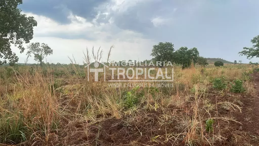 Vende-se fazenda de 31,5 Alqueires à 30km de Porto Nacional-To. — Miniatura 2