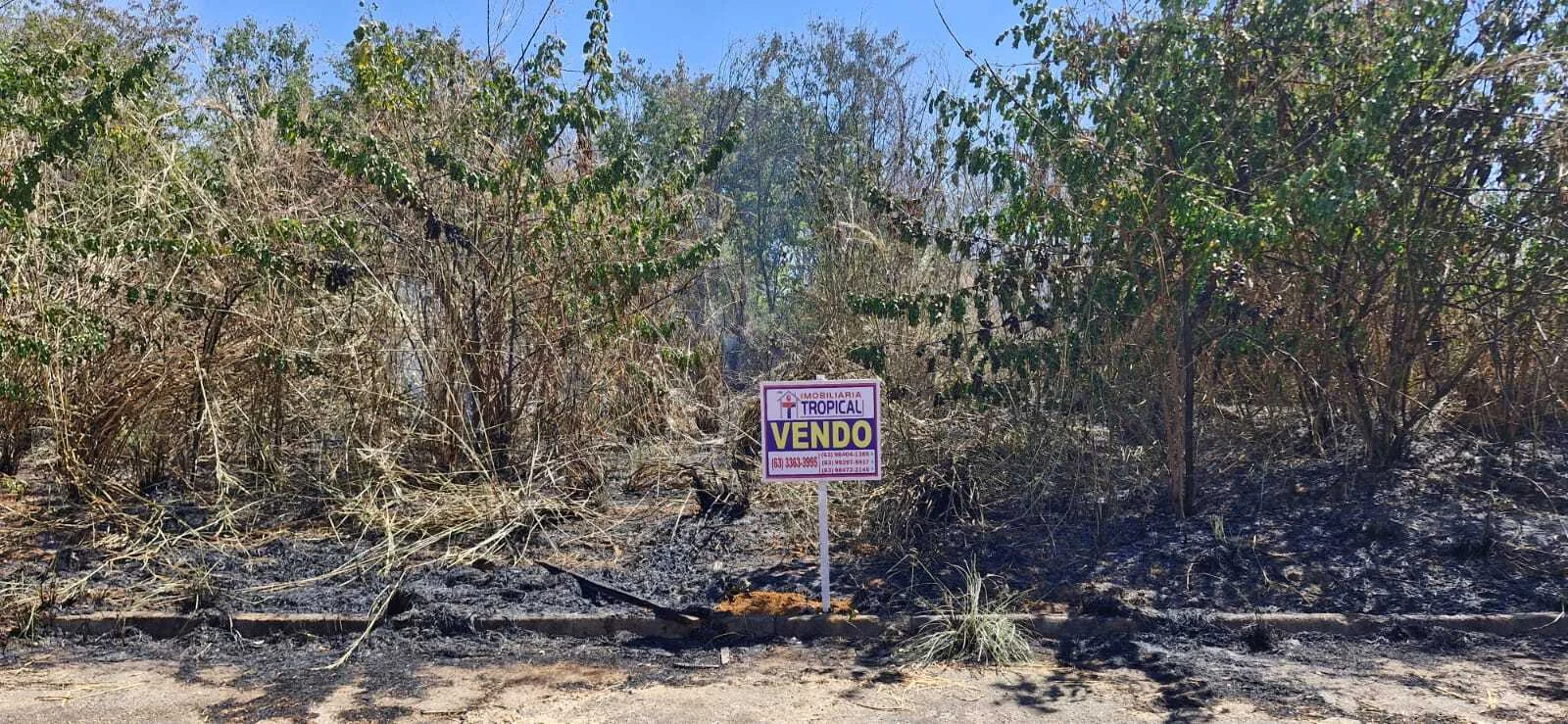 Vendo Lote Residencal Localizado no setor Jardim dos Ypes em Porto Nacional-TO — Miniatura 3