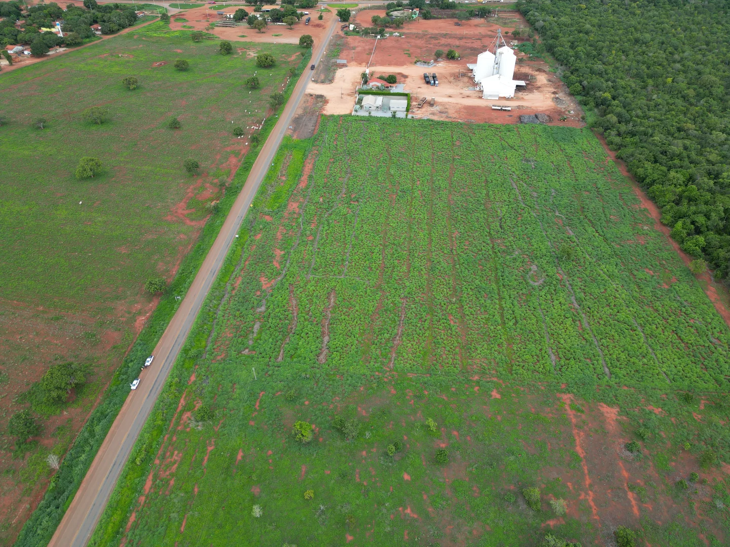 Vendo  Aréa para Silo de 10.84.80 Hectares nas Margem da TO-070 em Pinheiropolis-TO — Miniatura 12