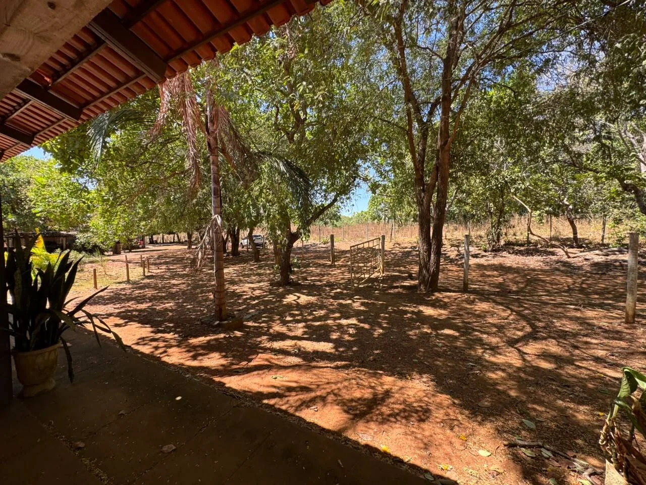 🌾 FAZENDA À VENDA NO LOTEAMENTO JACOZINHO – EXCELENTE OPORTUNIDADE PARA INVESTIR E PRODUZIR! Em Porto Nacional — Miniatura 10