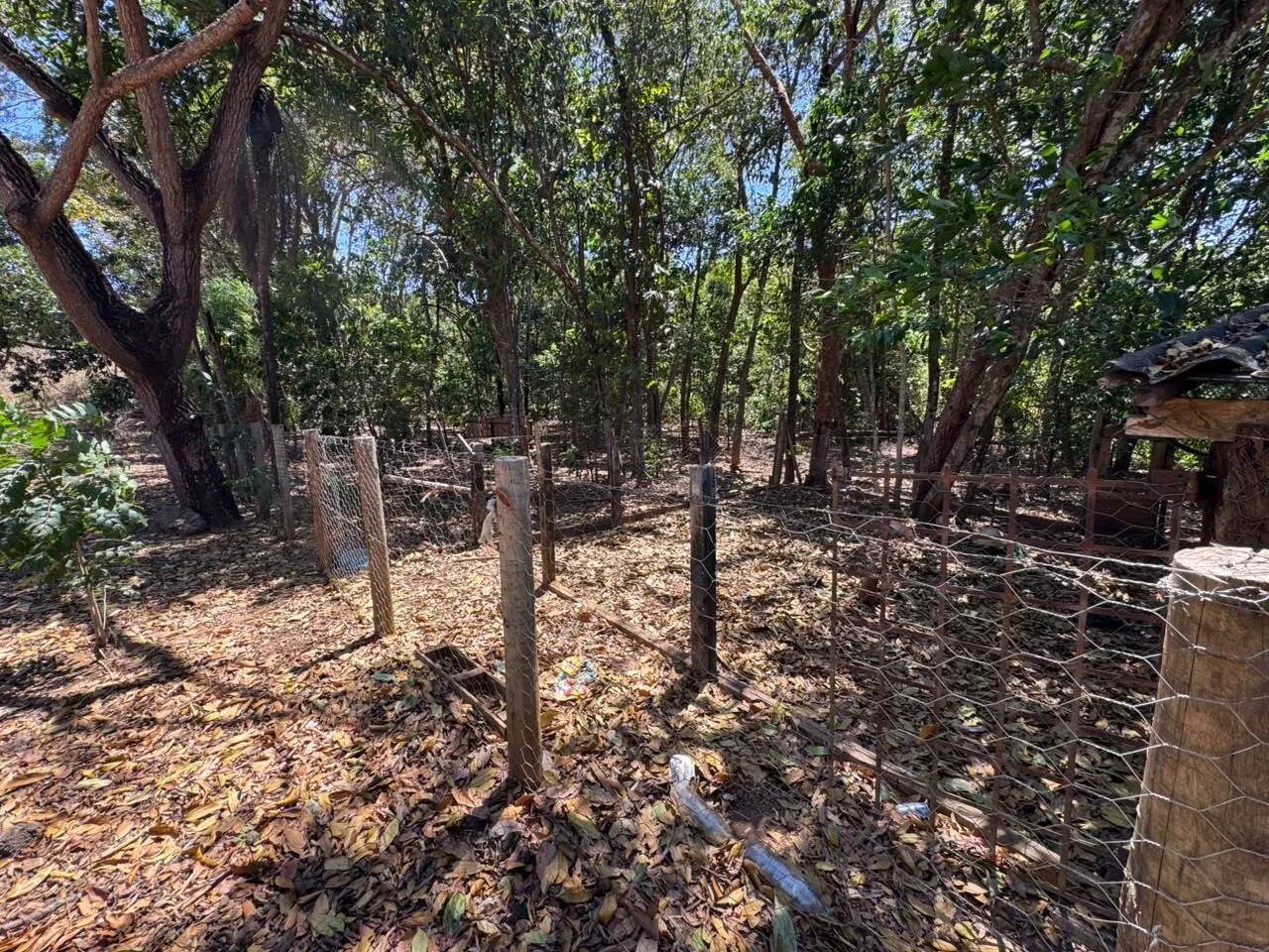 🌾 FAZENDA À VENDA NO LOTEAMENTO JACOZINHO – EXCELENTE OPORTUNIDADE PARA INVESTIR E PRODUZIR! Em Porto Nacional — Miniatura 24