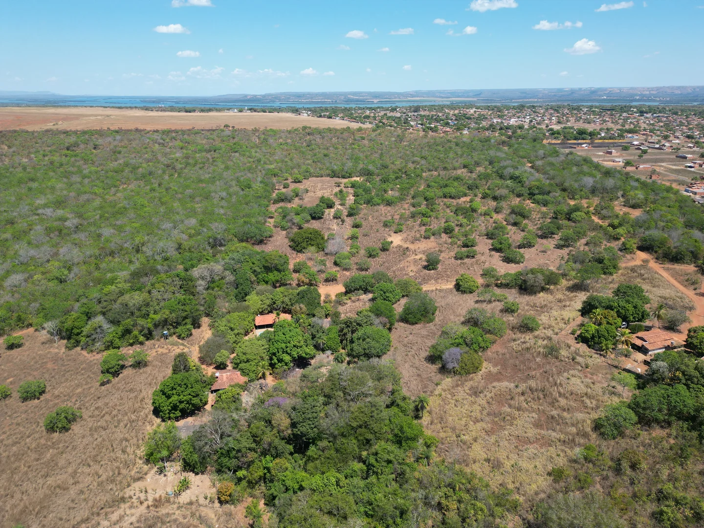 🌾 FAZENDA À VENDA NO LOTEAMENTO JACOZINHO – EXCELENTE OPORTUNIDADE PARA INVESTIR E PRODUZIR! Em Porto Nacional — Miniatura 5