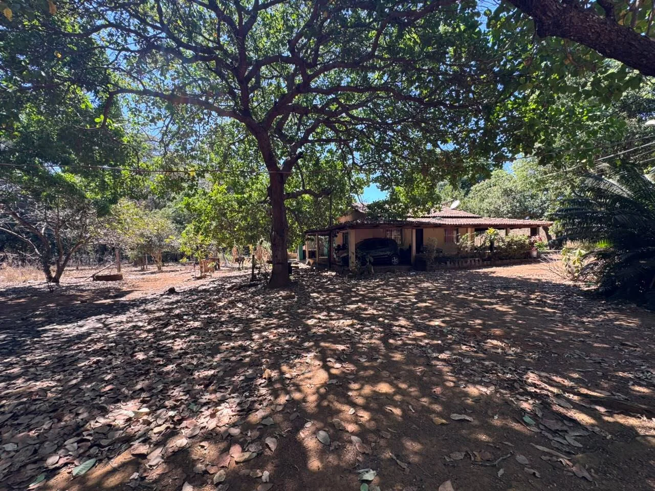 🌾 FAZENDA À VENDA NO LOTEAMENTO JACOZINHO – EXCELENTE OPORTUNIDADE PARA INVESTIR E PRODUZIR! Em Porto Nacional — Miniatura 8