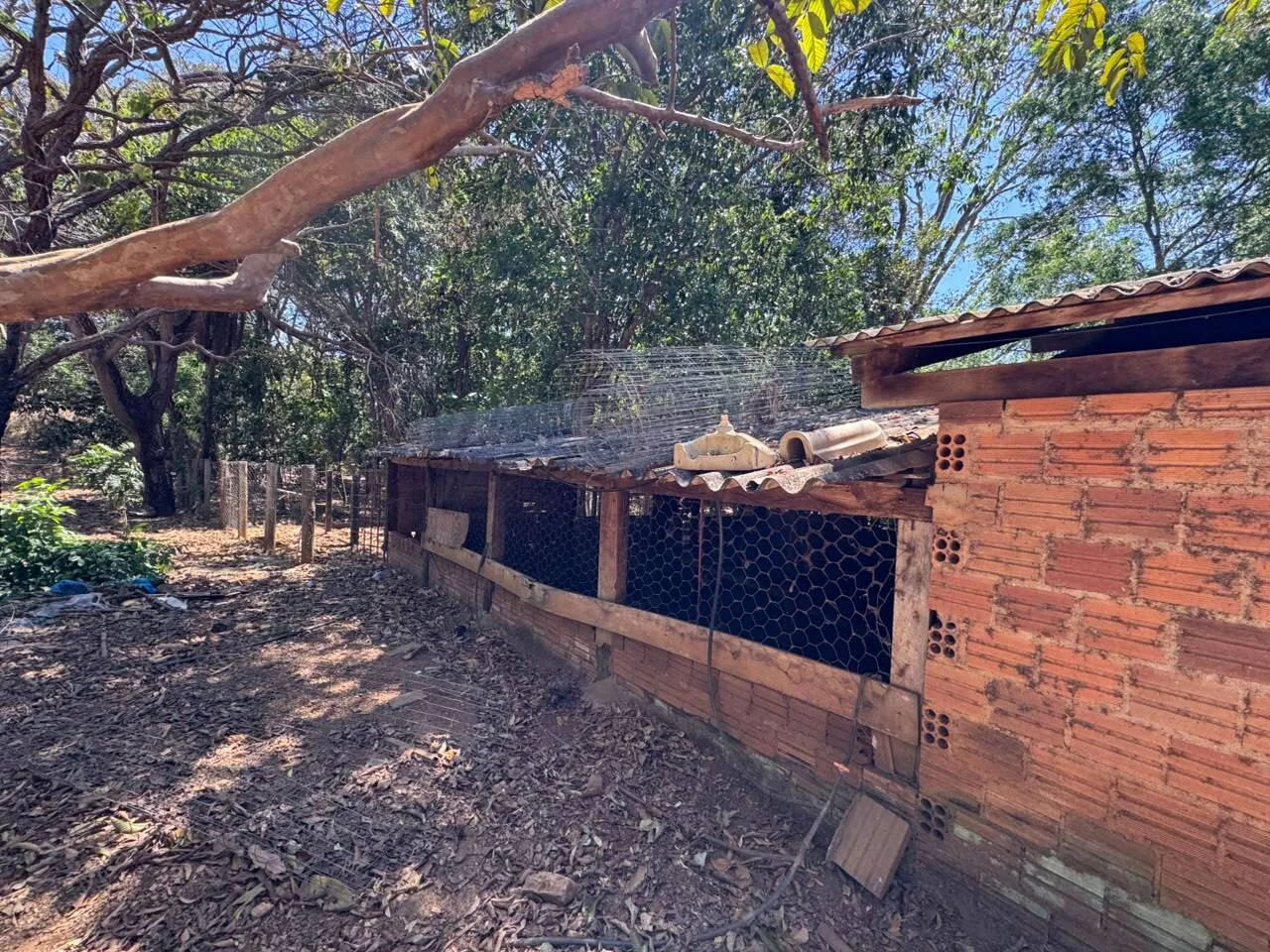 🌾 FAZENDA À VENDA NO LOTEAMENTO JACOZINHO – EXCELENTE OPORTUNIDADE PARA INVESTIR E PRODUZIR! Em Porto Nacional — Miniatura 21
