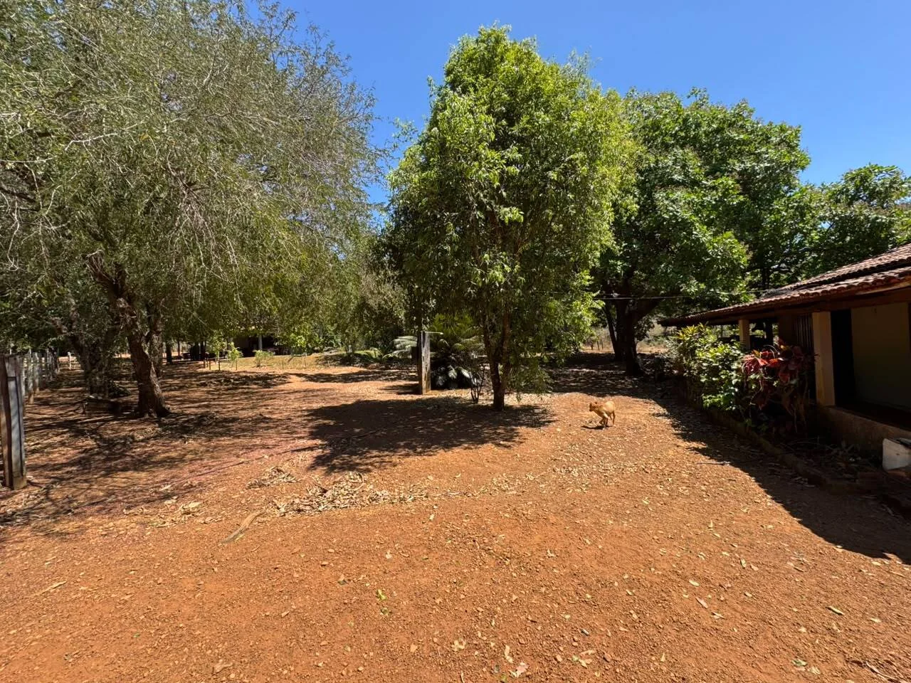 🌾 FAZENDA À VENDA NO LOTEAMENTO JACOZINHO – EXCELENTE OPORTUNIDADE PARA INVESTIR E PRODUZIR! Em Porto Nacional — Miniatura 19
