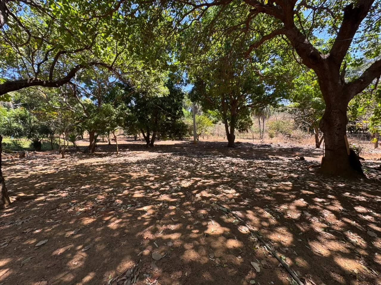 🌾 FAZENDA À VENDA NO LOTEAMENTO JACOZINHO – EXCELENTE OPORTUNIDADE PARA INVESTIR E PRODUZIR! Em Porto Nacional — Miniatura 9