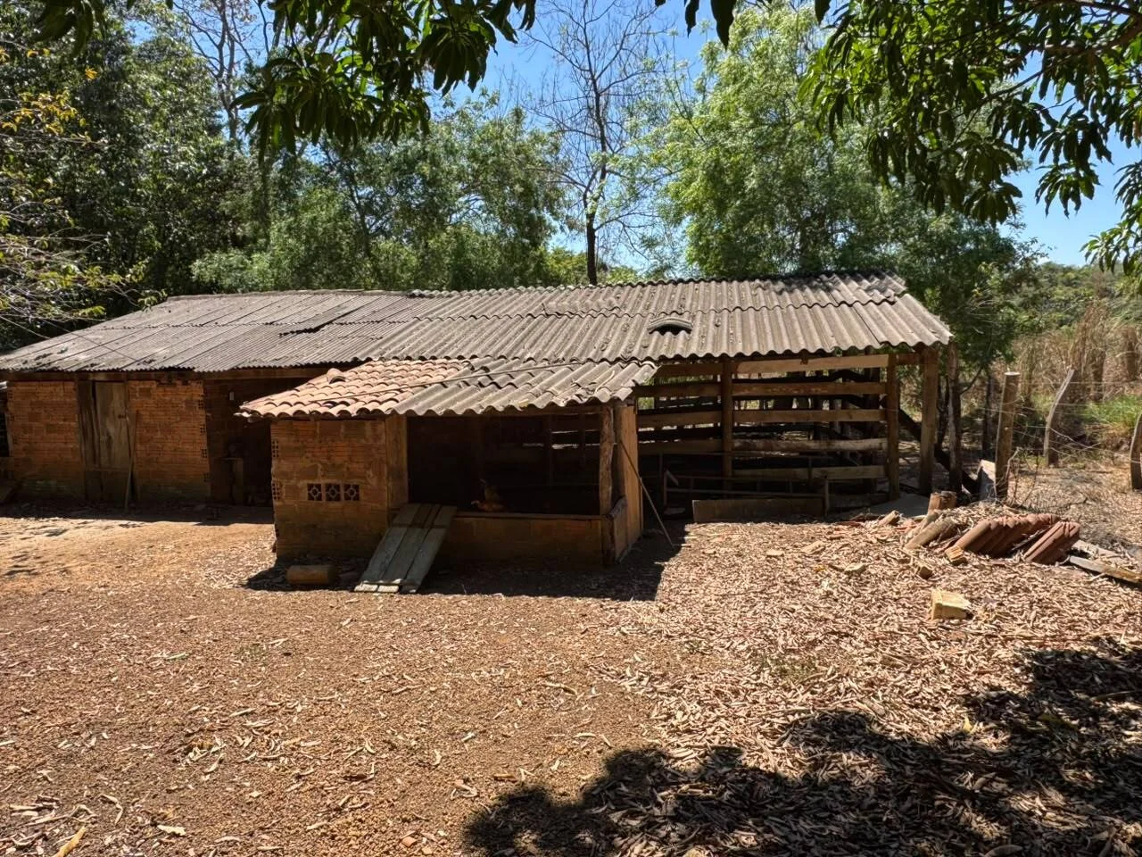 🌾 FAZENDA À VENDA NO LOTEAMENTO JACOZINHO – EXCELENTE OPORTUNIDADE PARA INVESTIR E PRODUZIR! Em Porto Nacional — Miniatura 20