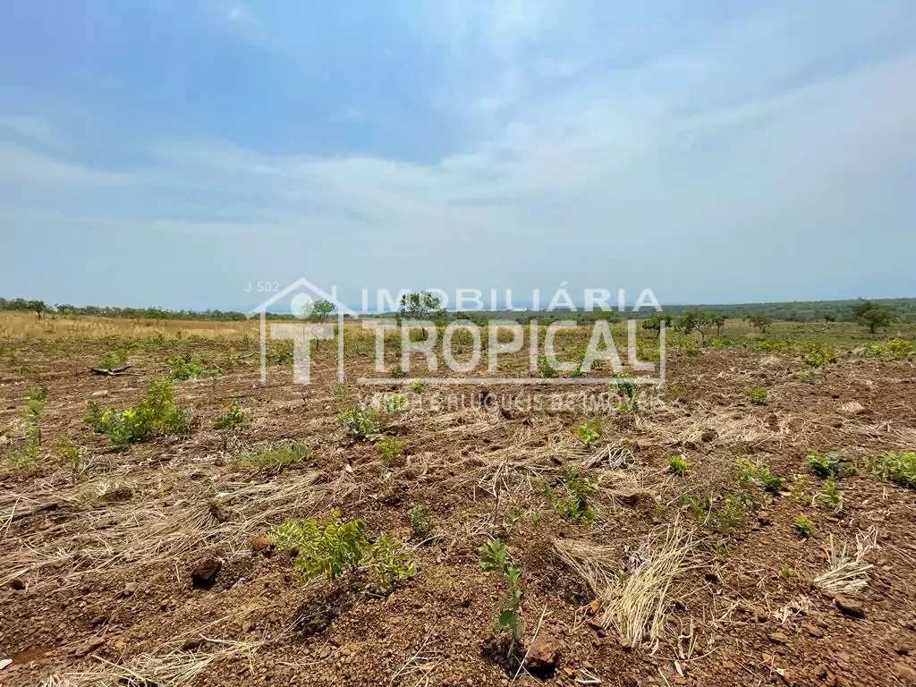 Vende-se fazenda de 31,5 Alqueires à 30km de Porto Nacional-To. — Miniatura 8