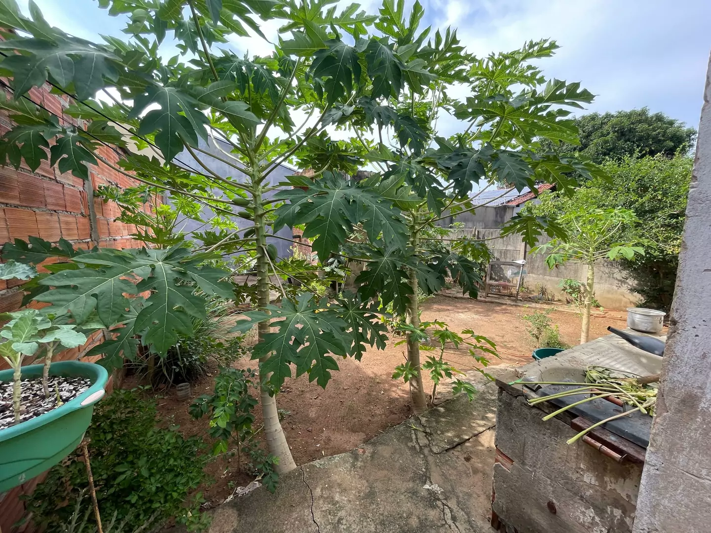 CASA em localização previlegiada a venda no Centro de Porto Nacional -TO — Miniatura 7