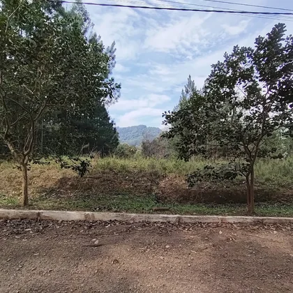 Terreno