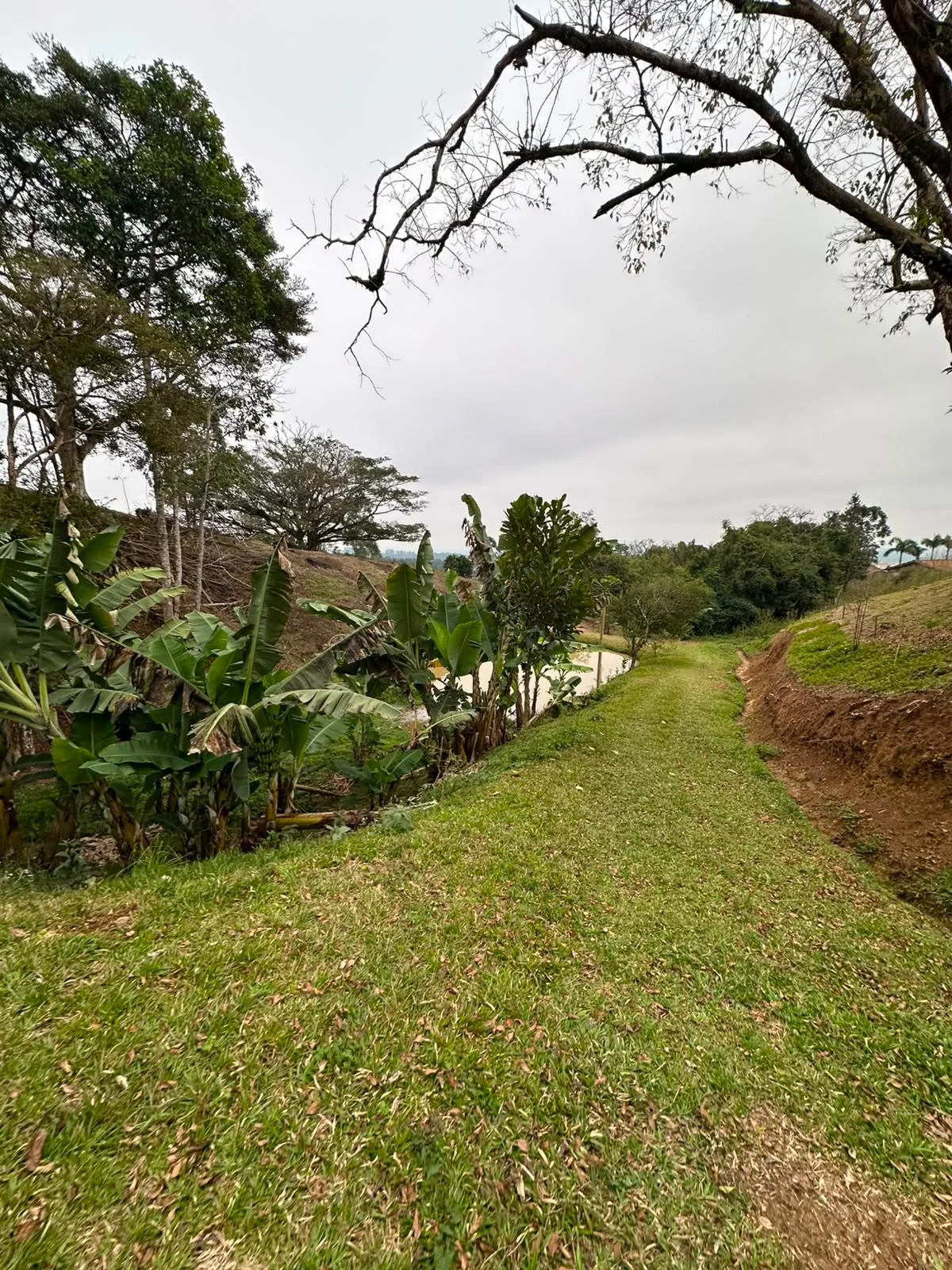 Sítio à Venda | Imóvel Rural com Ótima Localização — Miniatura 23