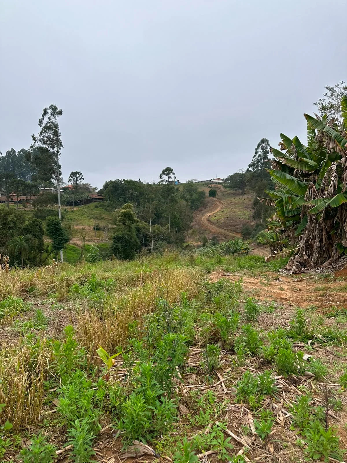 Sítio à Venda | Imóvel Rural com Ótima Localização — Miniatura 21
