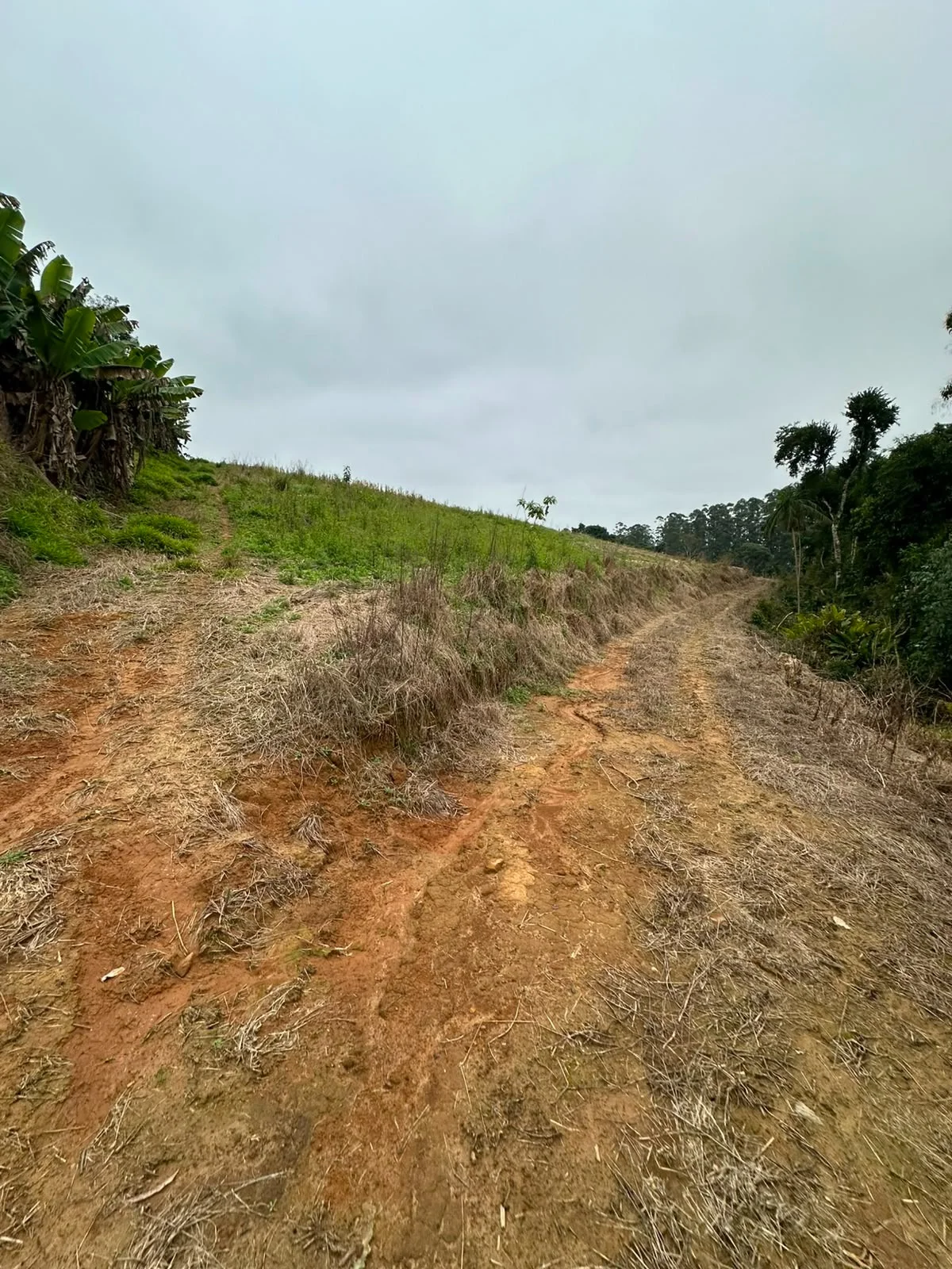 Sítio à Venda | Imóvel Rural com Ótima Localização — Miniatura 31