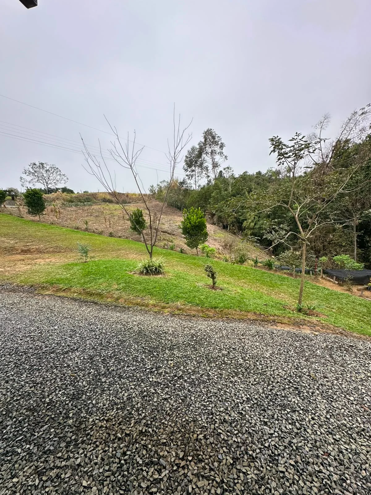 Sítio à Venda | Imóvel Rural com Ótima Localização — Miniatura 24