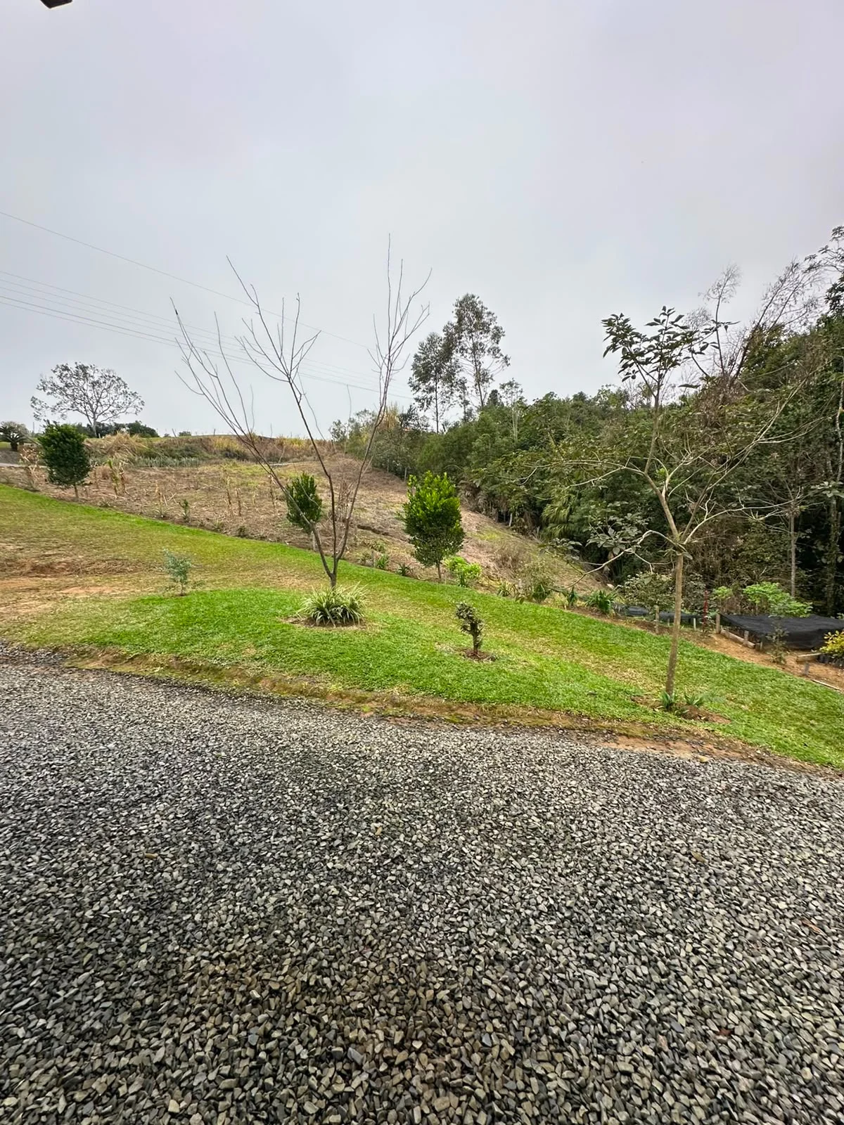 Sítio à Venda | Imóvel Rural com Ótima Localização — Miniatura 16