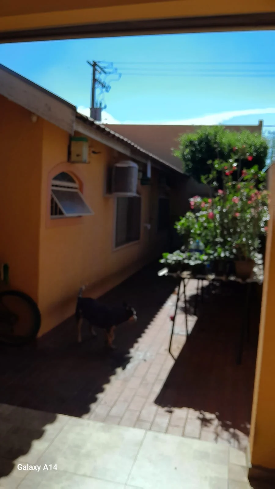 CASA TÉRREA - COHAB - OURINHOS/SP — Miniatura 13