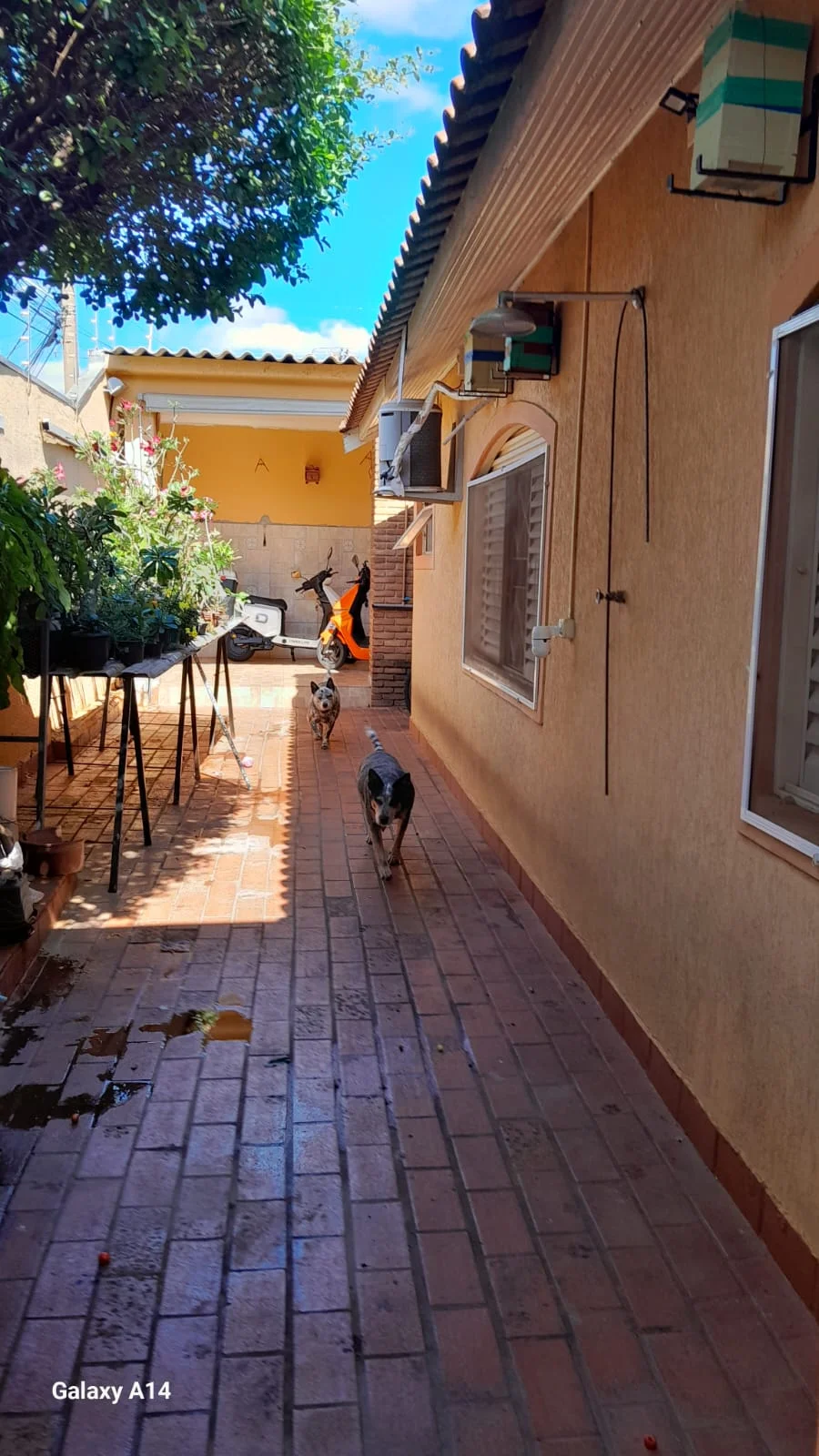 CASA TÉRREA - COHAB - OURINHOS/SP — Miniatura 15