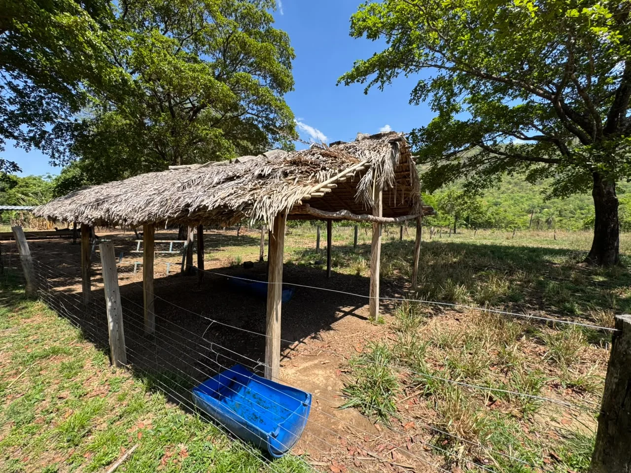🌾 FAZENDA À VENDA – 79,3 HECTARES, ENTRE PALMAS E PORTO NACIONAL/TO — Miniatura 21