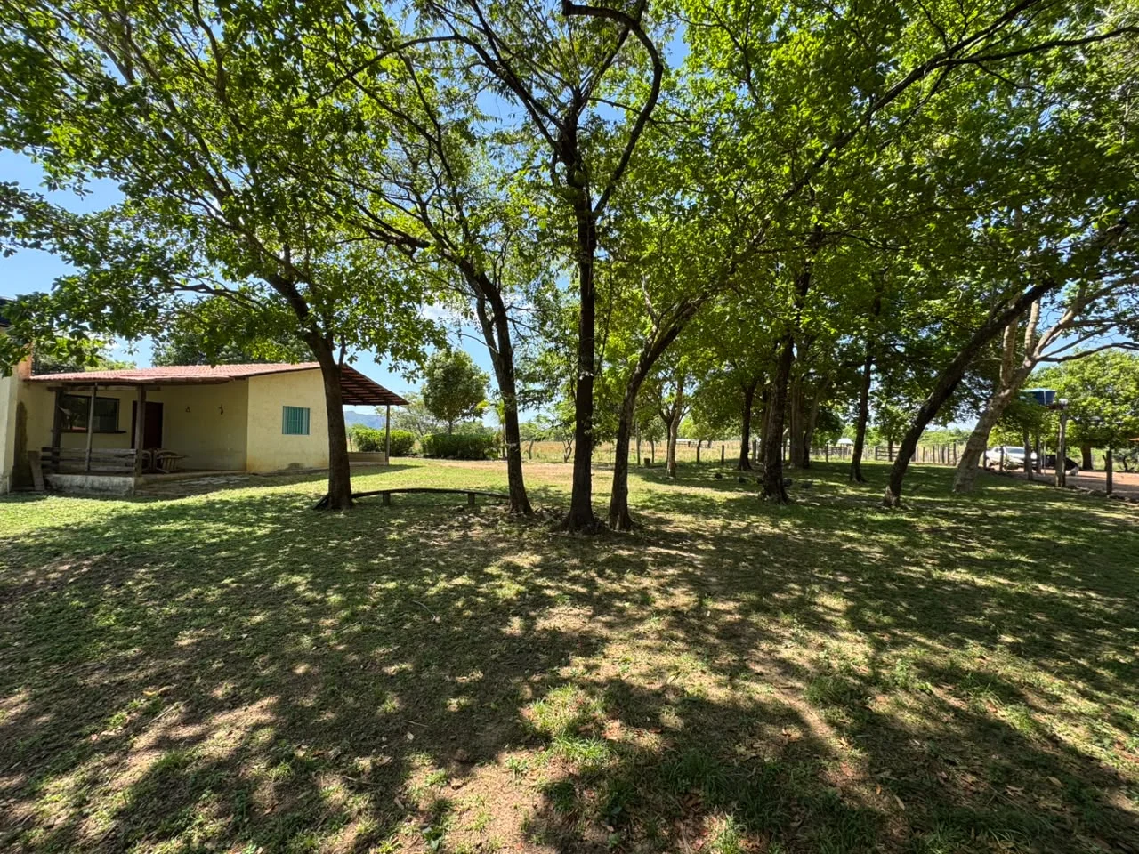 🌾 FAZENDA À VENDA – 79,3 HECTARES, ENTRE PALMAS E PORTO NACIONAL/TO — Miniatura 8